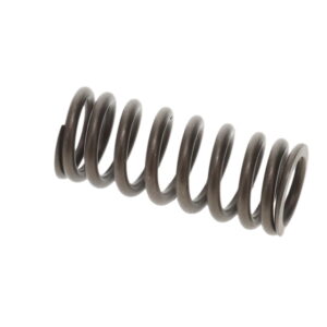 VALVE SPRING TO SUIT MAN