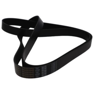 V-Ribbed Poly Rib Belt suits DAF CF/XF