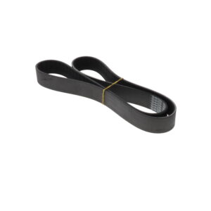 POLY RIB BELT