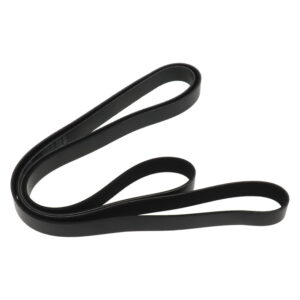 CUMMINS OEM V BELT RIBBED