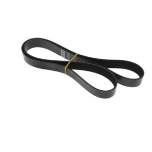 POLY RIB BELT