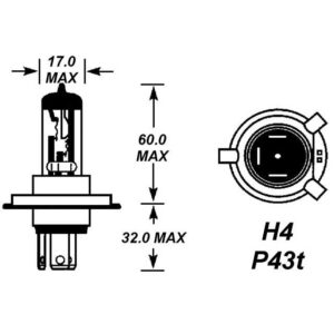 486 12V 100W BULB