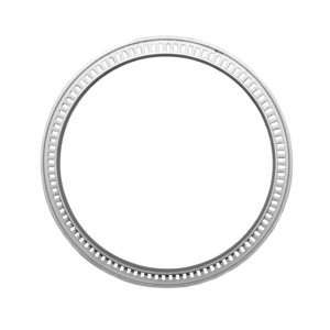 EXCITER RING 100T
