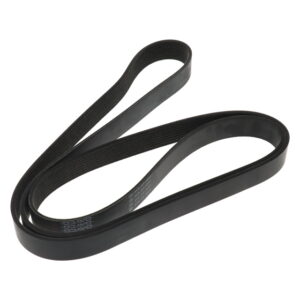 Poly Rib Belt - To Suit DAF