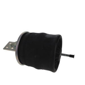 Airspring Assy (Tba) Iveco