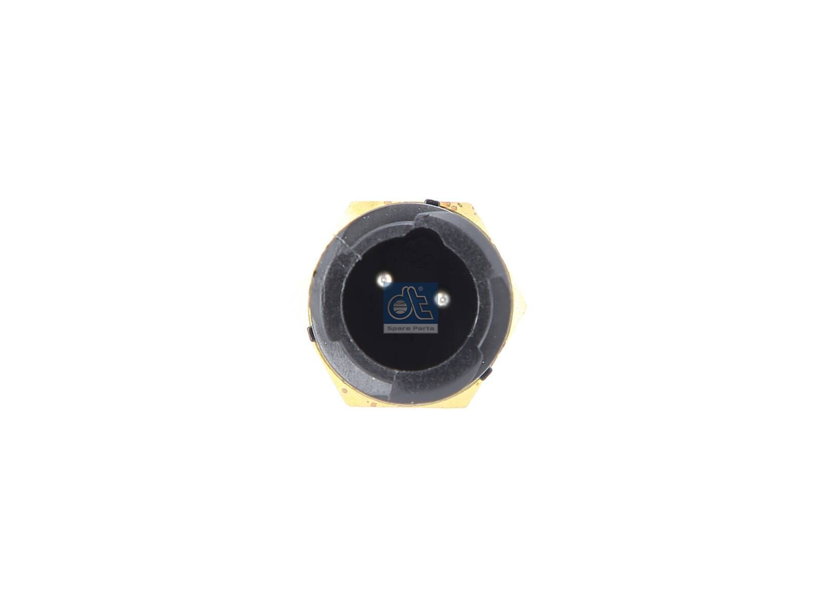 DT Spare Parts 3.10303 Temperature sensor, M14 x 1,5, 100 °C, 2 poles