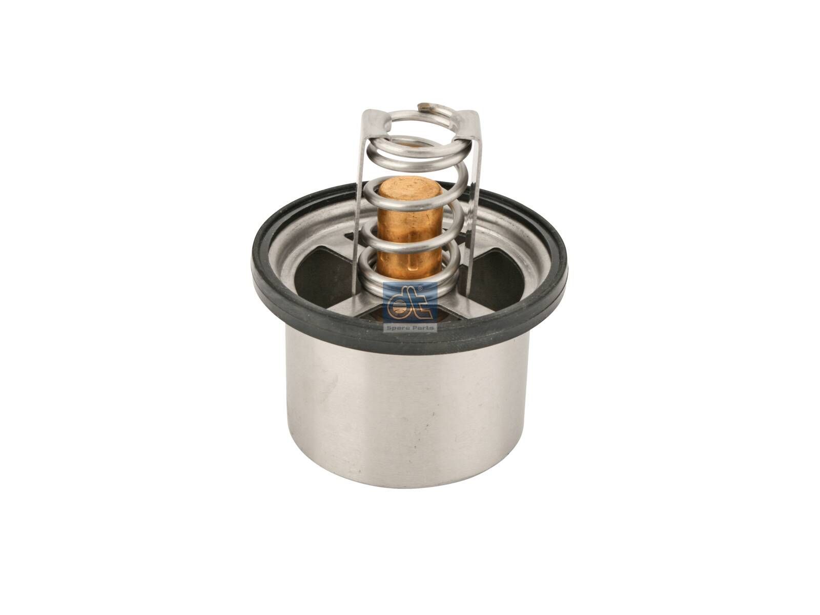 DT Spare Parts 5.41021 Thermostat, 79 °C